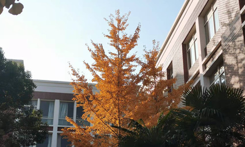 吴雨菡 21930223_proc_副本.jpg 吴雨菡 21930223_proc_副本.jpg