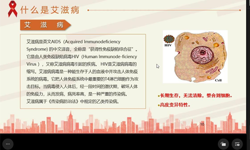 1E(1)_副本.png 1E(1)_副本.png